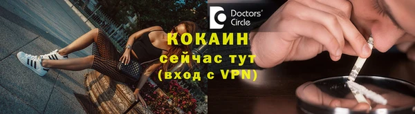 спайс Аша