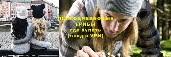 стаф Артём