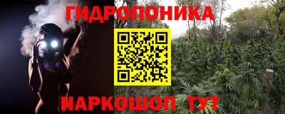 ПСИЛОЦИБИНОВЫЕ ГРИБЫ Берёзовский