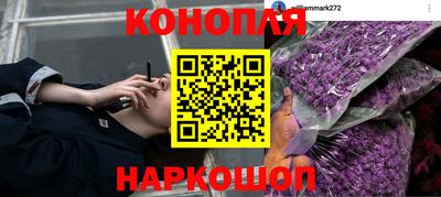 молекула духа Гагарин