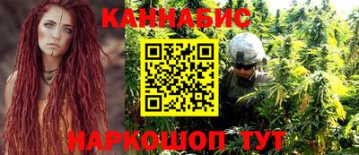 МДПВ Гатчина