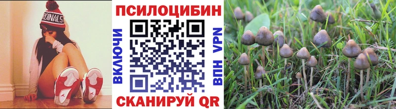 Псилоцибиновые грибы GOLDEN TEACHER  blacksprut   Выкса  закладка 