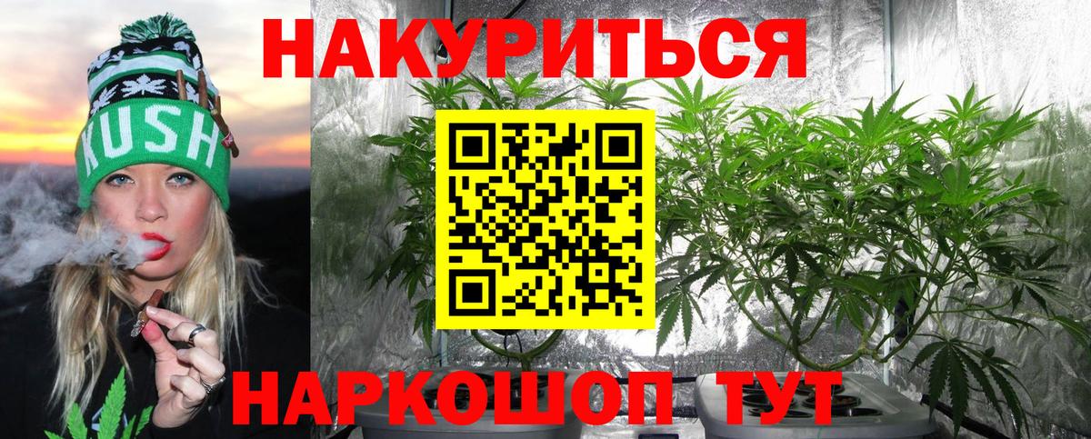 Каннабис планчик  Шишки марихуана VHQ  МАРИХУАНА AK-47  Выкса 